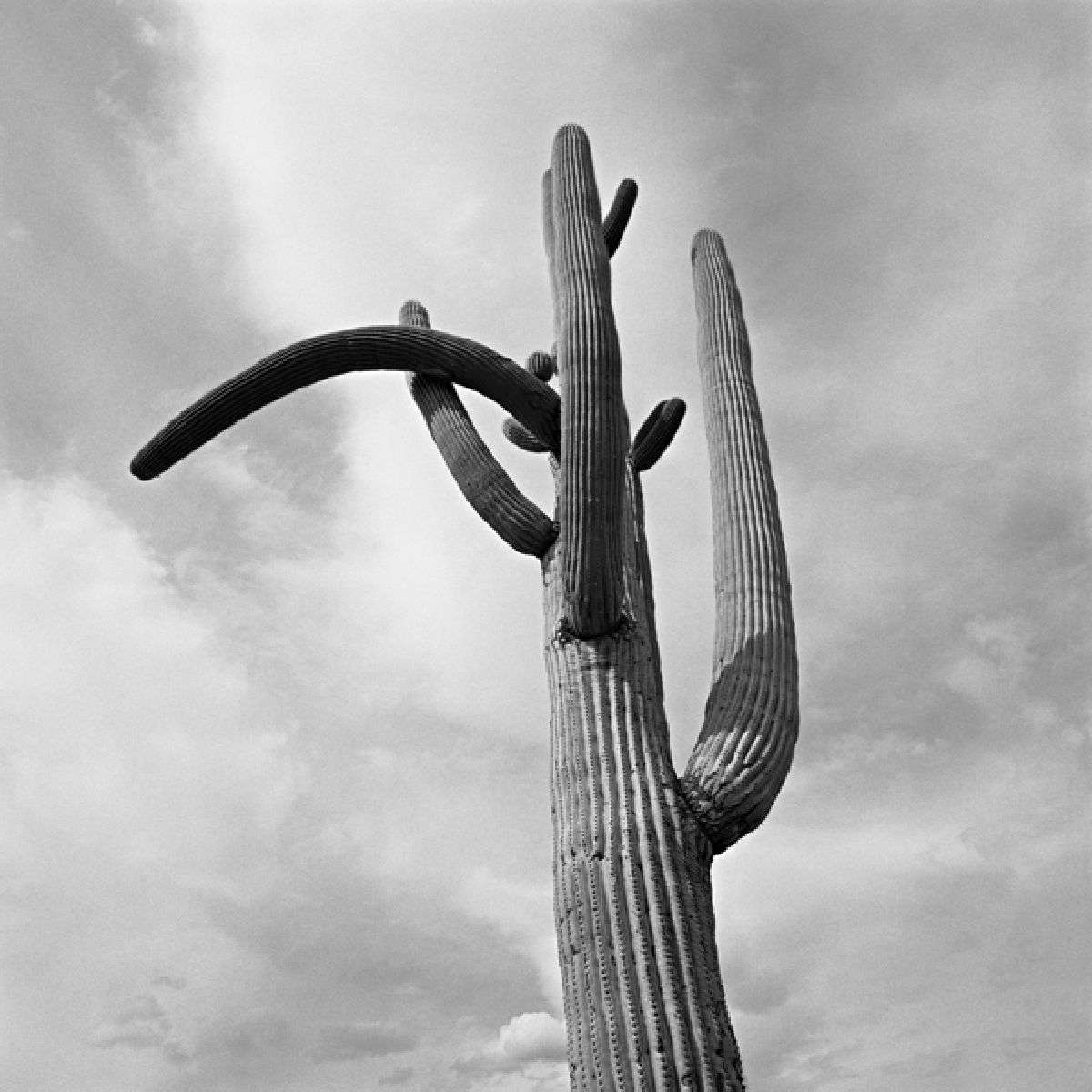 32