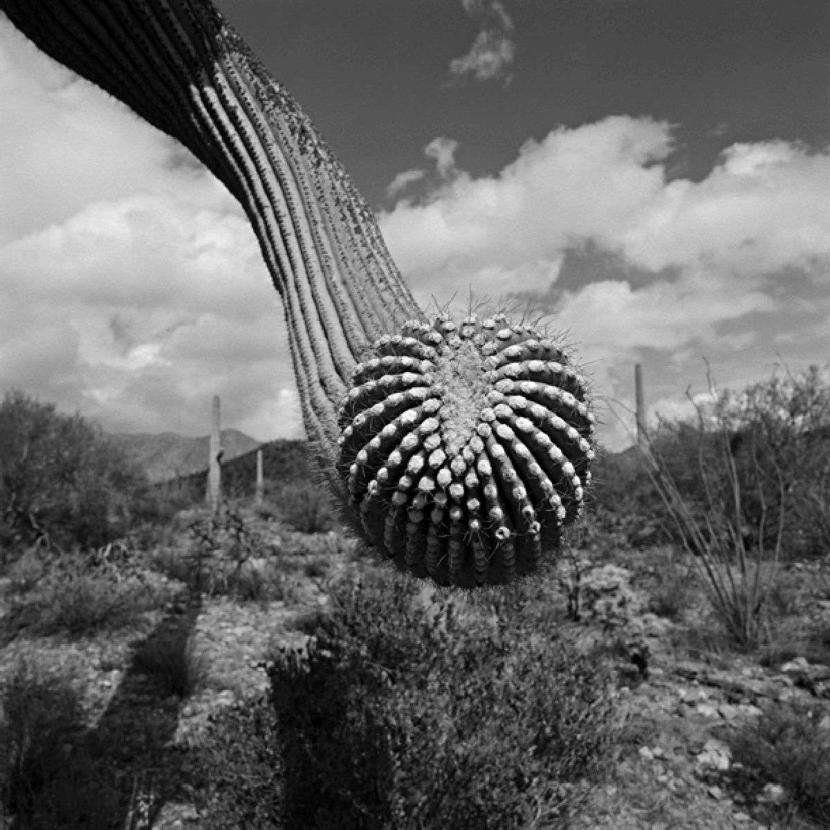 35